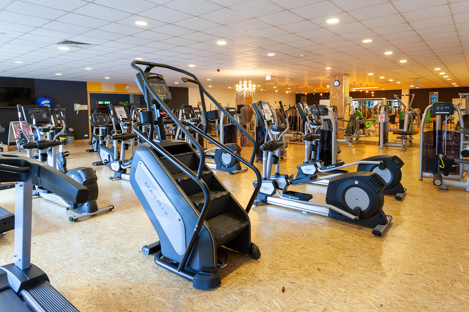 Cardiobereich Cardiobereich